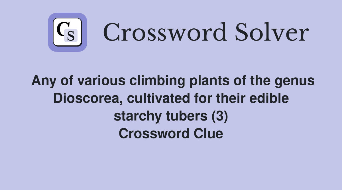 Any of various climbing plants of the genus Dioscorea, cultivated for